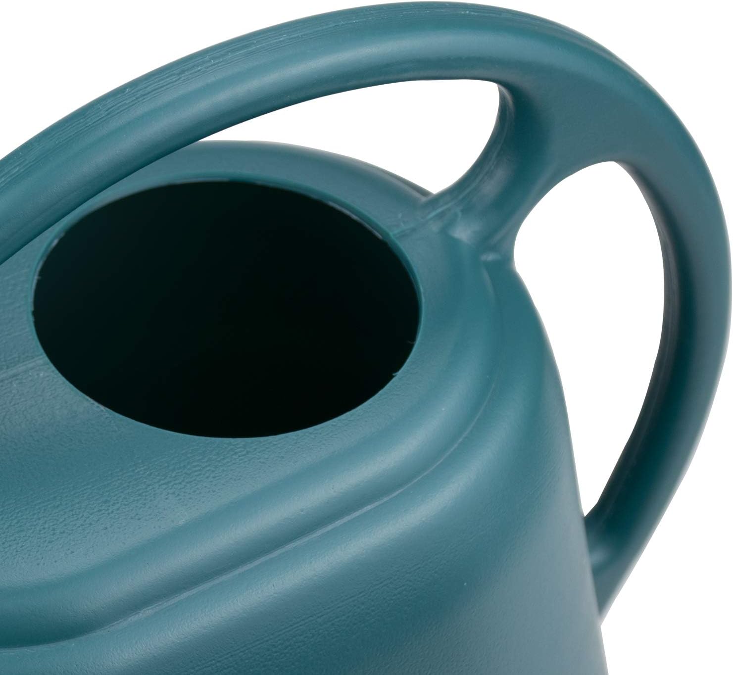 Fasmov Plastic Watering Can, 1-Gallon, Green : Garden & Outdoor