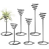 AHANDMAKER 6 Packs Airplant Planter Holder, 3 Sizes Air Plant Container Tillandsia Holder for Displaying Small Air Plant, Hom