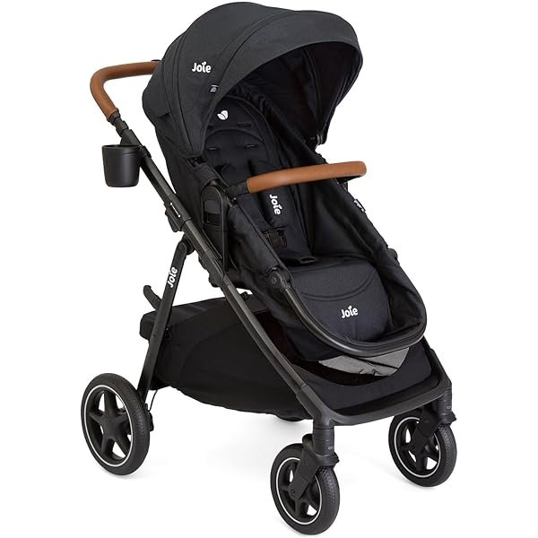 Joie　1223 Joie Ginger & Mint Latch Travel System | 4-in-1 Versatility