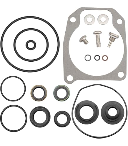 Lower Gearcase Seal Kit For Johnson/Evinrude Outboards - 8-15HP Seal Replacement Kit With Drain Screws