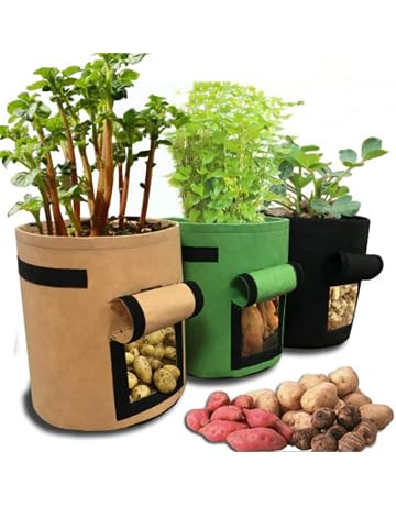 Bolsas para plantas | Amazon.es