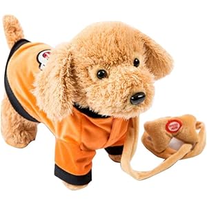 remote toy control squirrel dogs dog