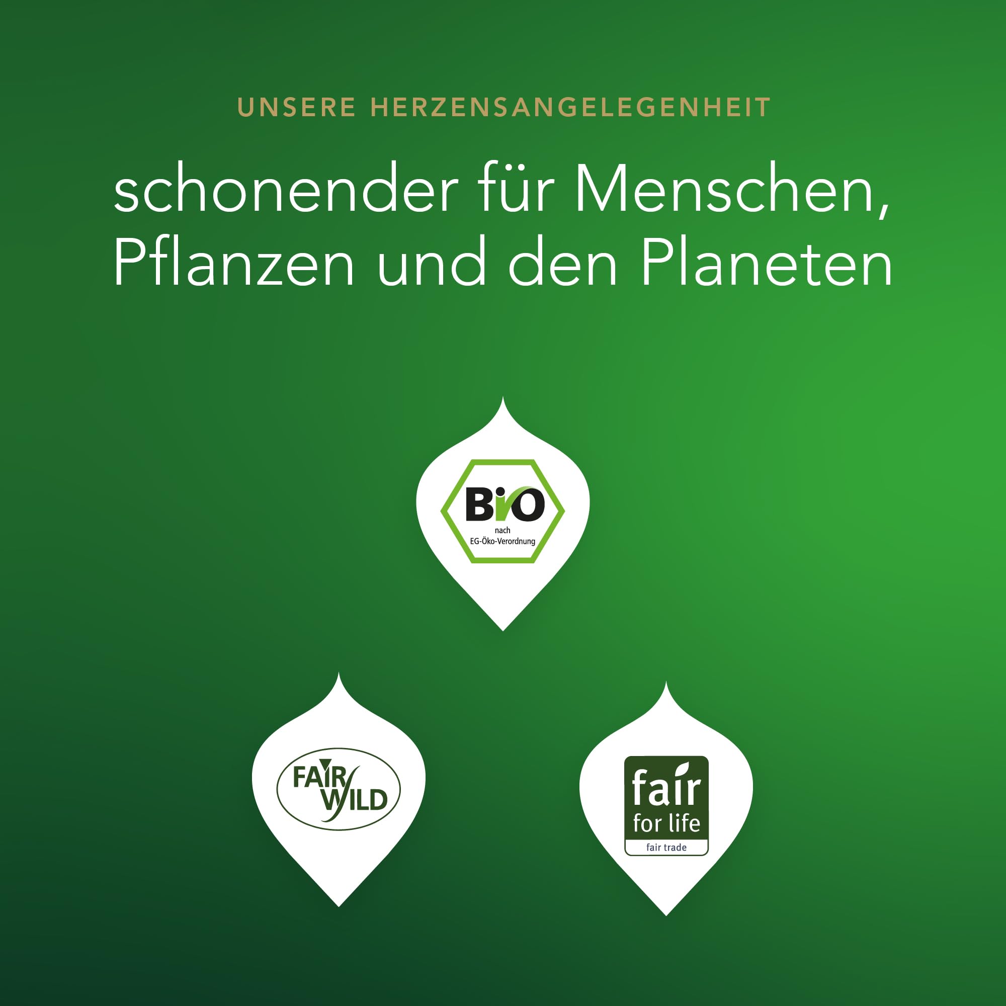 Pukka | Bio Kräutertee "Supreme Matcha Green" | Grüntee & Matcha | Grüner Tee für frische am Morgen | 1er Pack | 20 Teebeutel 7