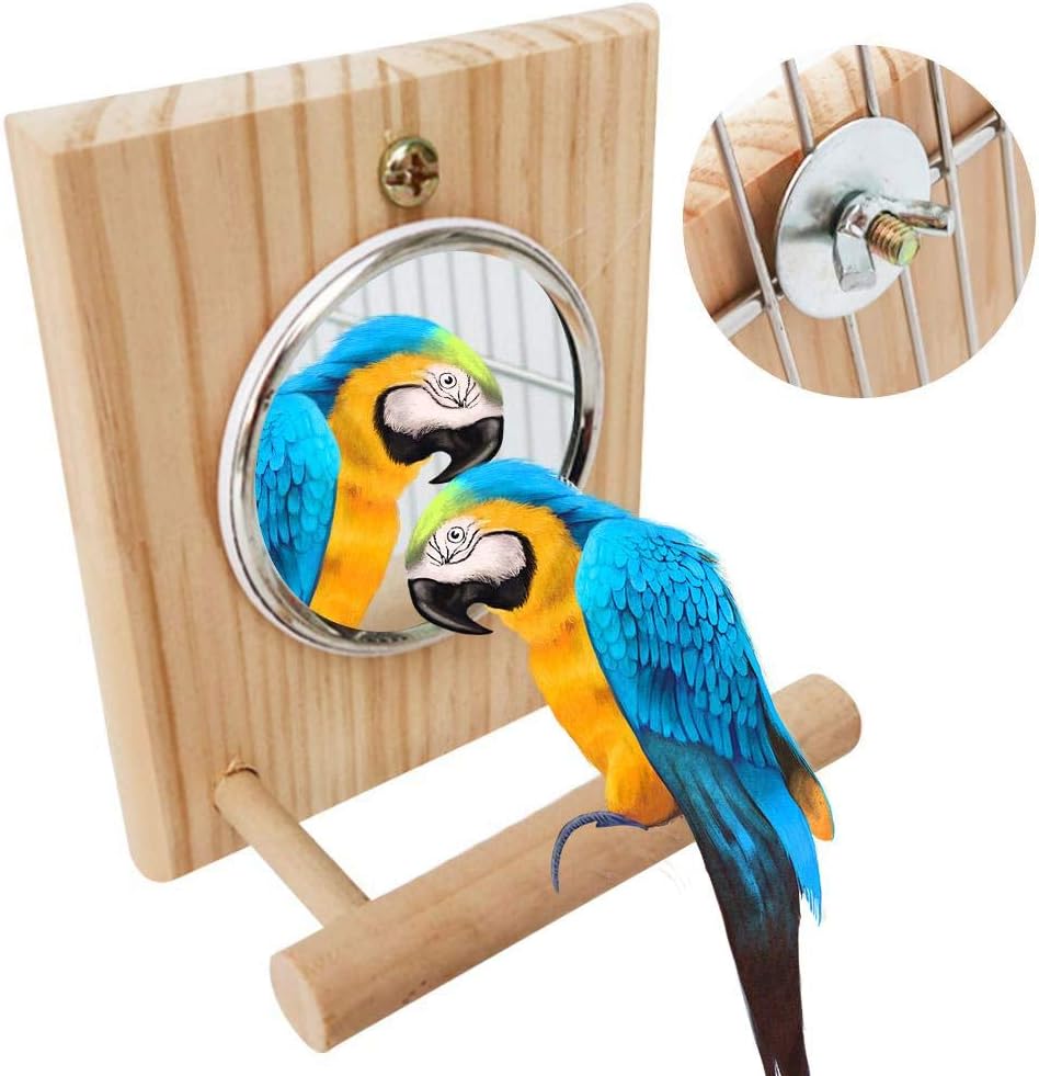 dianhai306 Bird Stand Perch,Mirror for Parrot Budgie Parakeet