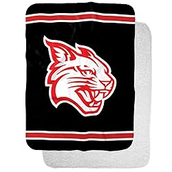 Davidson College Primary Logo Stripes Sherpa