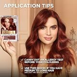 L'Oréal Paris Excellence Universal Reds Ammonia-Free Hair Colour 5UR Universal view 6