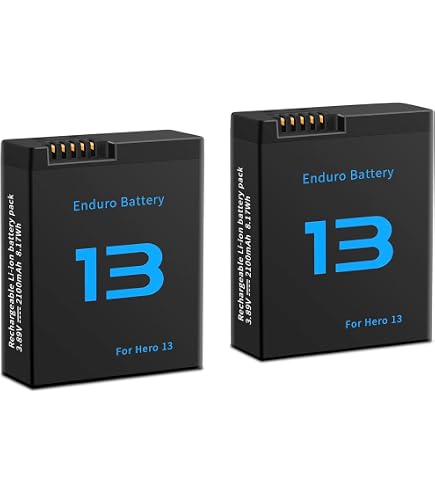 Wvoillty 2 Batterie 2100 MAh + Caricabatterie USB 3 Canali Per GoPro Hero 13 Black Enduro