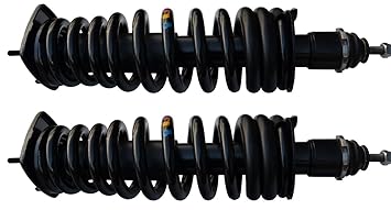 Mercedes Benz Ml Suspension Strut And Coil Spring Assembly Rear Set Of 2 Pair Ml500 Ml430 Ml350 Ml320