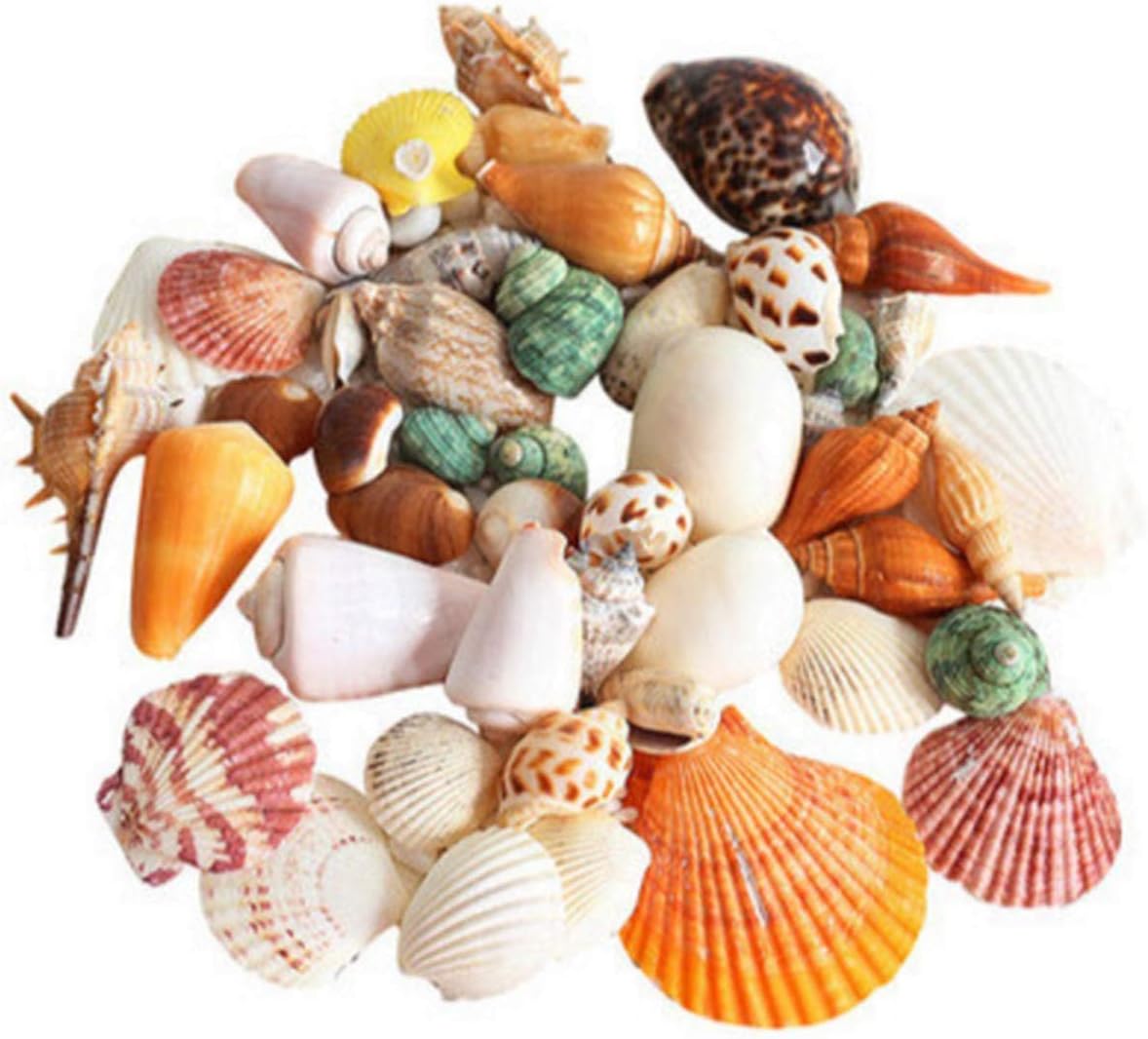Oshi Greens Mix Size 500 gm Pack for Aquariums/Art and Crafts/Table Decoration (Multicolored, Mix, Sea Shell)