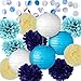 Party Decoration Kit Blue Tissue Paper Pom Poms Flowers Papers Lanterns Circle Garland Birthday Wedding Christening Frozen Theme Party Decorations for Adults Boys Girls By Fadesun