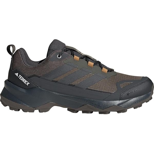 Amazon.com: adidas Terrex Skychaser 2 GTX - Zapatos para hombre