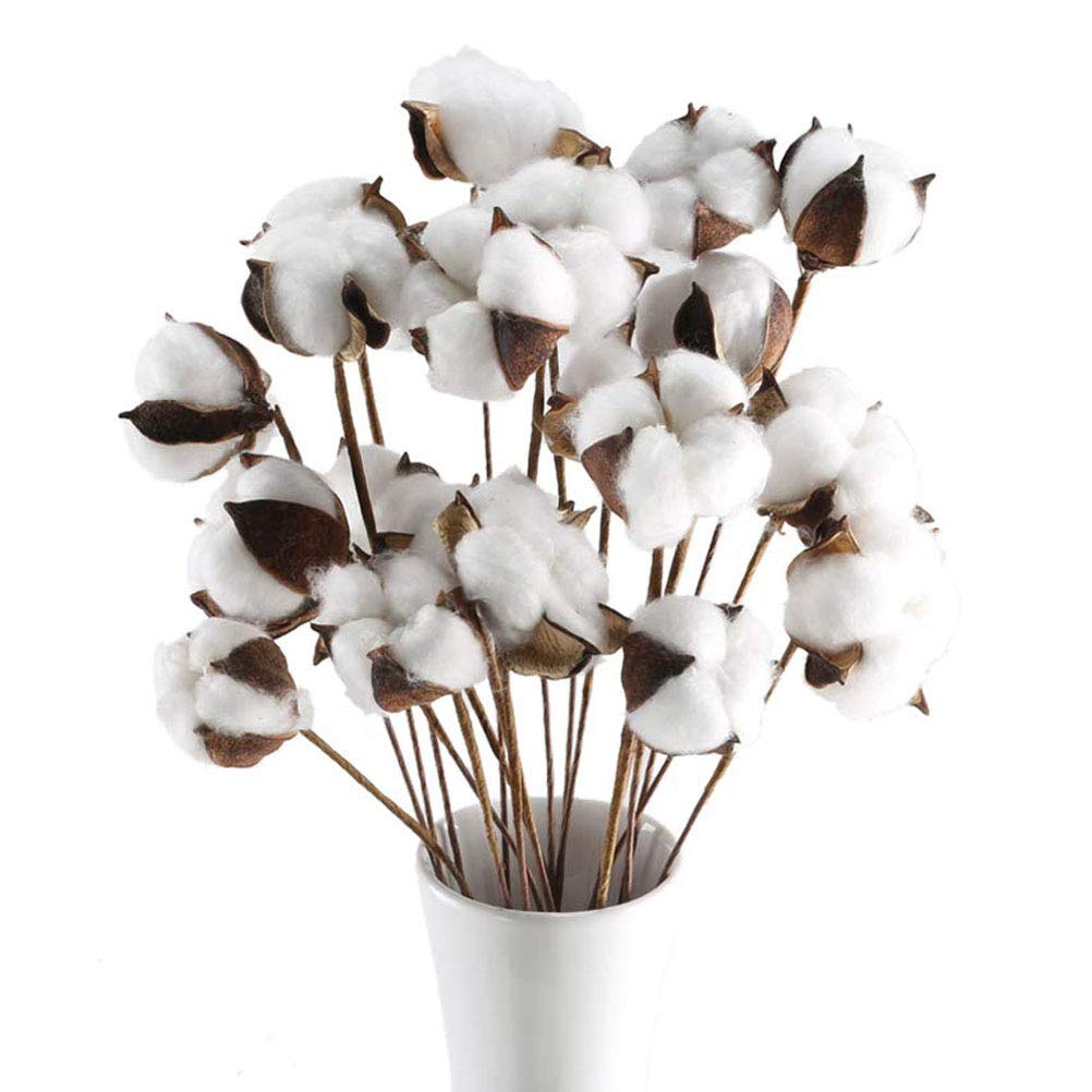 Pursuestar 20Pcs Real Natural White Cotton Stems Dried Flower Branch for Farmhouse Style DIY Antique Floral Wreath Furniture Home Table Vase Wedding Decoration
