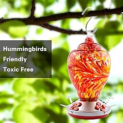 WOSIBO Hummingbird Feeder for Outdoors Patio Large