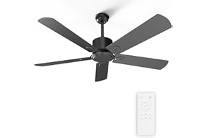 BIUKIS 52 Inch Ceiling Fan No Light - Outdoor Indoor Flush Mount Low Profile DC Motor Fan with Remote, 5 Blades Reversible Silent Fan for Patio, Bedroom, Living Room, Garage