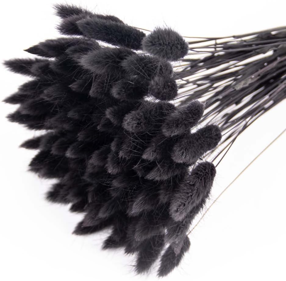Dried & Preserved Flora - Natural Dried Bunny Tail Grass, 120pcs Black Lagurus Ovatus Flowers for Pampas Bouquet, Boho Home Decor & Rustic Theme Decorations