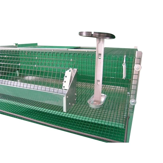 Cage For Laying Quail