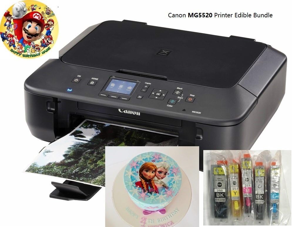 canon pixma 5520 ink