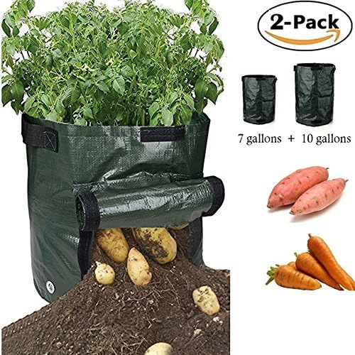Plant Growing Bag,Potato Grow Planter Bags,7 &amp; 10 Gallons Potato Tub Pouch Garden Vegetable Planter Bags Handles,Grow Vegetables Plant:Potato,Carrot,Tomato &amp; Onion (2 Packs)