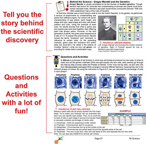 Rs' Science - 25 Microscope Prepared Slide Set for You to Learn The Beauty of Biology (2019 Version) with Printed Guide Book - Thumbnail 6