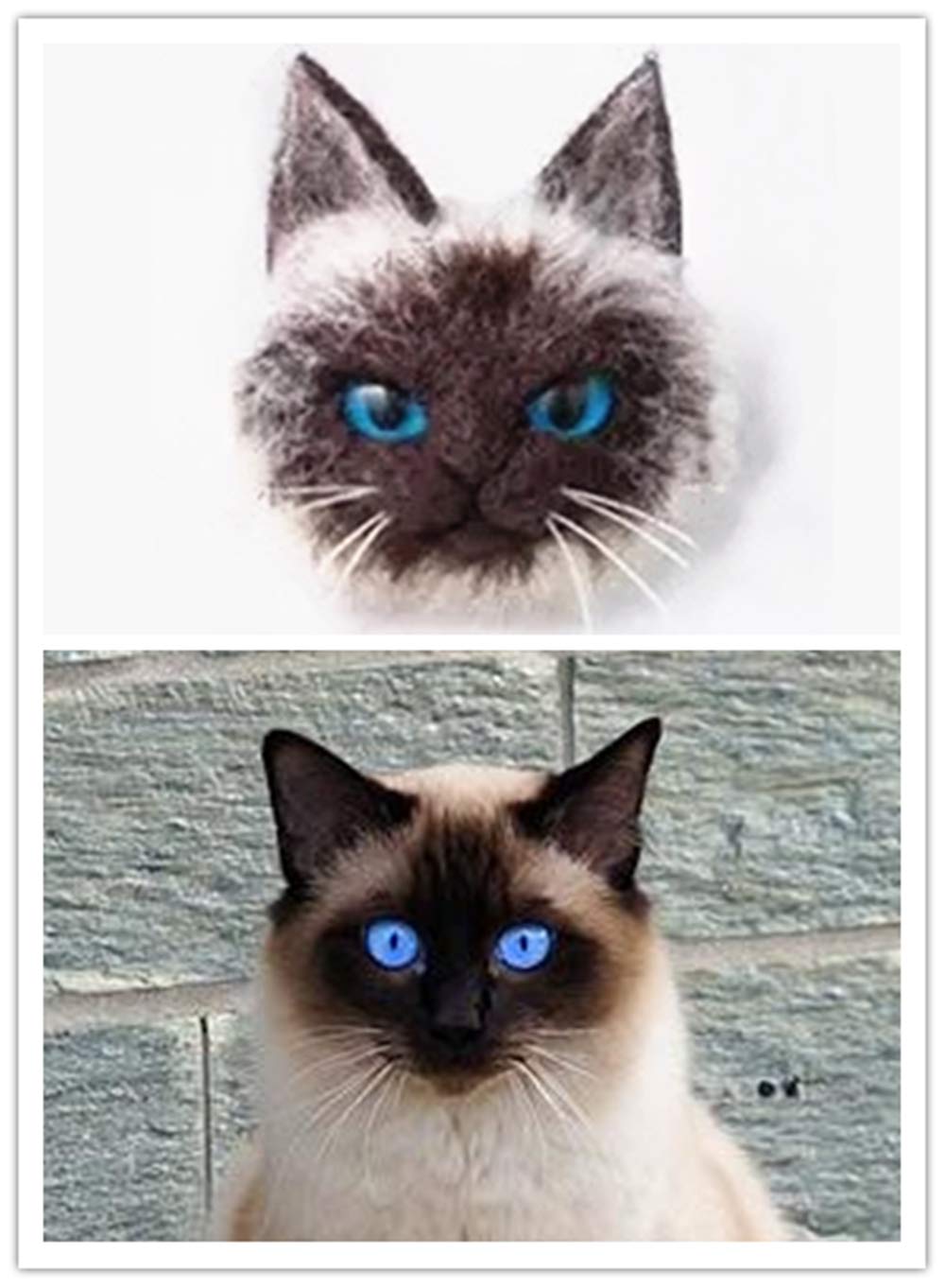 DIY Needle Felting Kit with Basic Needle Felting Tools,Kit for Beginners,Cat Kitten,Animal (Siamese)