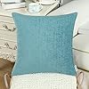 CaliTime Pack of 2 Cozy Throw Pillow Covers Cases for Couch Sofa Home Decoration Solid Dyed Soft Chenille 18 X 18 Inches…