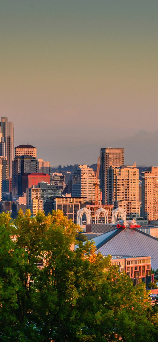 PeelitStickit City, Cityscapes Wall Murals, ID-129, vinyl