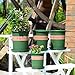 Ogrmar 5PCS 5 Gallon Durable Nursery Pot/Garden Planter Pots/Nursery Plant Container with 5PCS Pallet (5 Gallon)