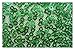 3mm Green Sparkle Sequins Fabric For Sewing Costumes Knit Dot Strechy sold by half of the yard Tablecloth Linen Sequin Tablecloth Table Runner