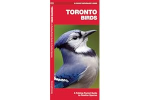 Toronto Birds