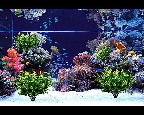 TEMCHY Artificial Plants Faux Boxwood Shrubs 6 Pack, Lifelike Fake Greenery Foliage with 42 Stems for Garden, Patio Yard, Wedding, Office and Farmhouse Indoor Outdoor Decor - Thumbnail 4