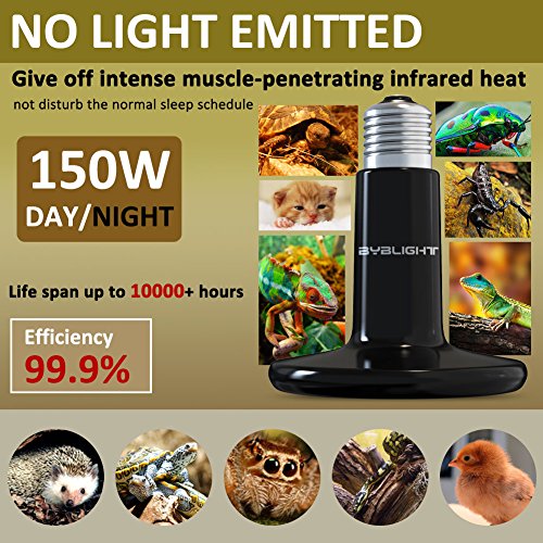1 BYB+Ceramic+Infrared+Emitter+Brooder