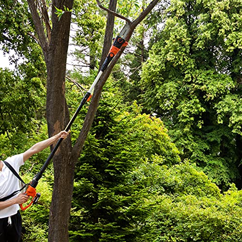 MAXLANDER 8 Inch Cordless Pole Saw, 20V Power Pole Chainsaw for Tree Trimming, Telescoping