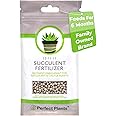 Succulent and Cactus Fertilizer in 5oz. Bag | Long Lasting Gentle Plant Food Formula for All Live Succulents, Cacti, and Other Desert Houseplants