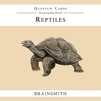Brainsmith Quantum Flash Cards, Reptiles - Educational Flashcard Set for Toddlers and Kids (8 months to 8 years) for Memory and Brain Development