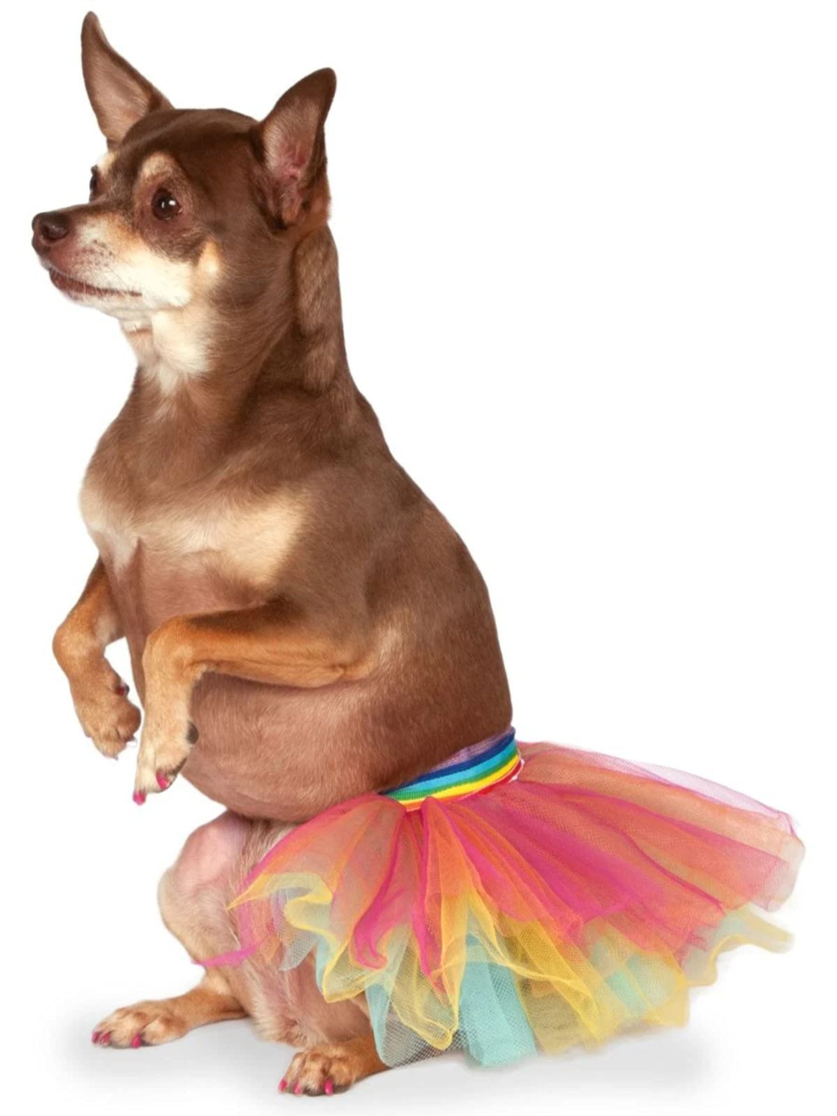 Rubie's Pet Costume Tutu, Rainbow, Small/Medium
