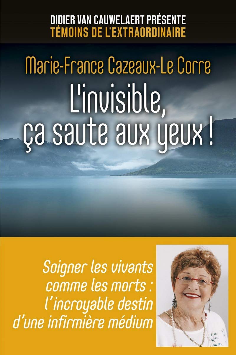 L Invisible Ca Saute Aux Yeux Amazon Fr Cazeaux Le Corre Marie France Livres