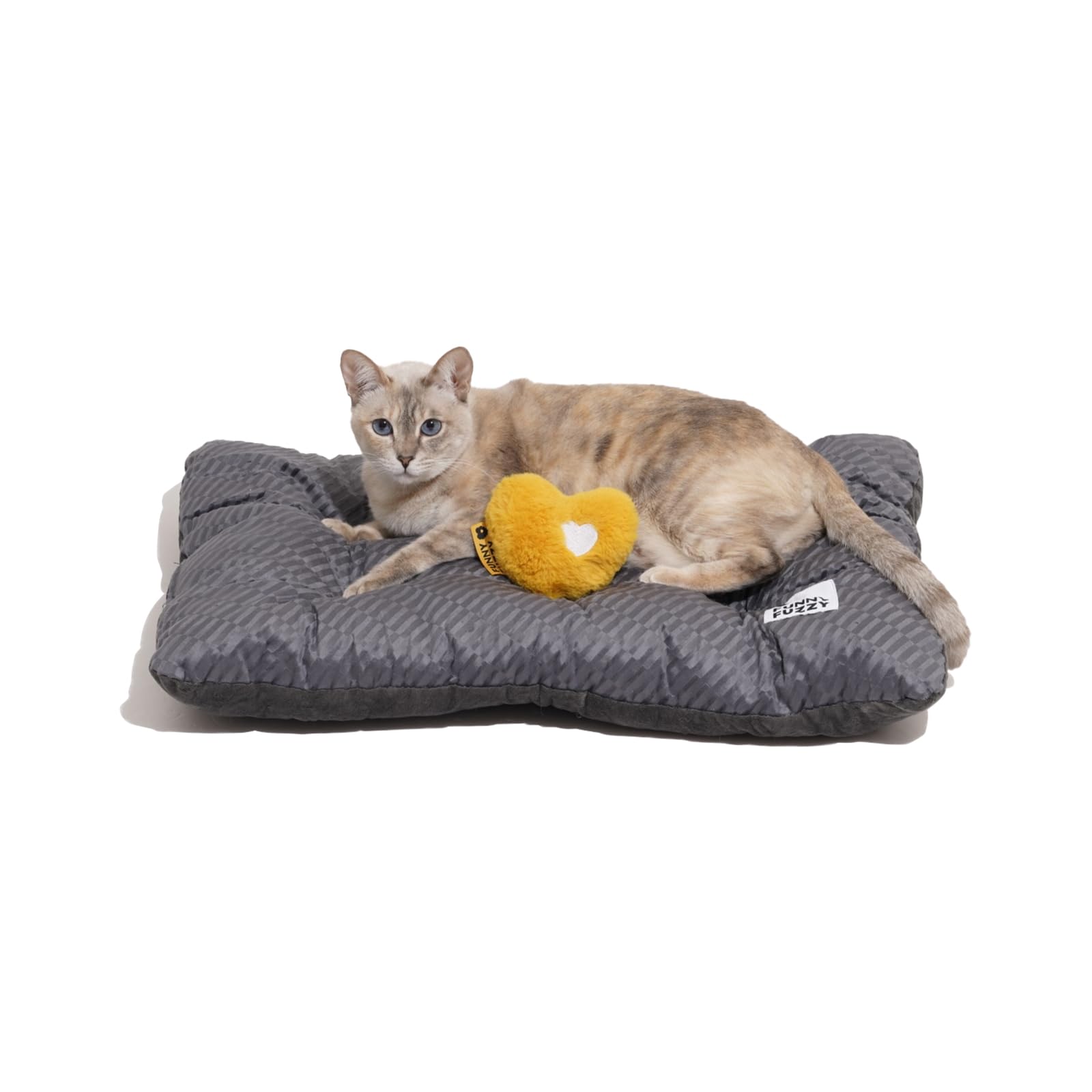 Photo 1 of FUNNY FUZZY 24x18 Washable Dog Bed Reversible Crate Mat, 2 in1 Orthopedic Puppy Bed for Small Dogs/Cats, Fluffy Deluxe Kennel Mattress,Sleeping Pad,Charcoal Grey,S