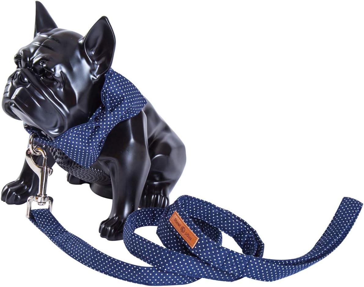 lionet paws Strong Dog Lead Cotton Handmade Dog Leash for Training Walking,Unique Dog Lead for X-Small Dogs - Image 4