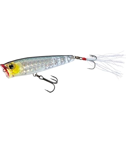 Amazon.com : Yo-Zuri R1435-PGSH: 3Dr-X Popper (F) 65Mm 2-5/8