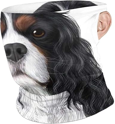 king charles spaniel gifts