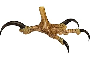 SKULLS UNLIMITED INTERNATIONAL Skulls Unlimited Bald Eagle Foot - Open (Museum Quality Replica)