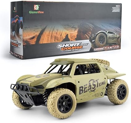 professional remote control car