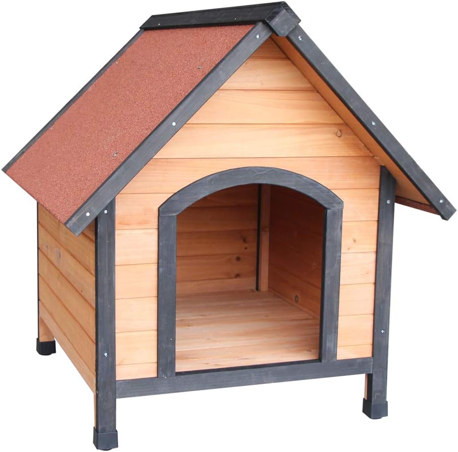 dog house store