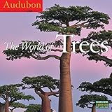 Audubon The World of Trees Wall Calendar 2016 by