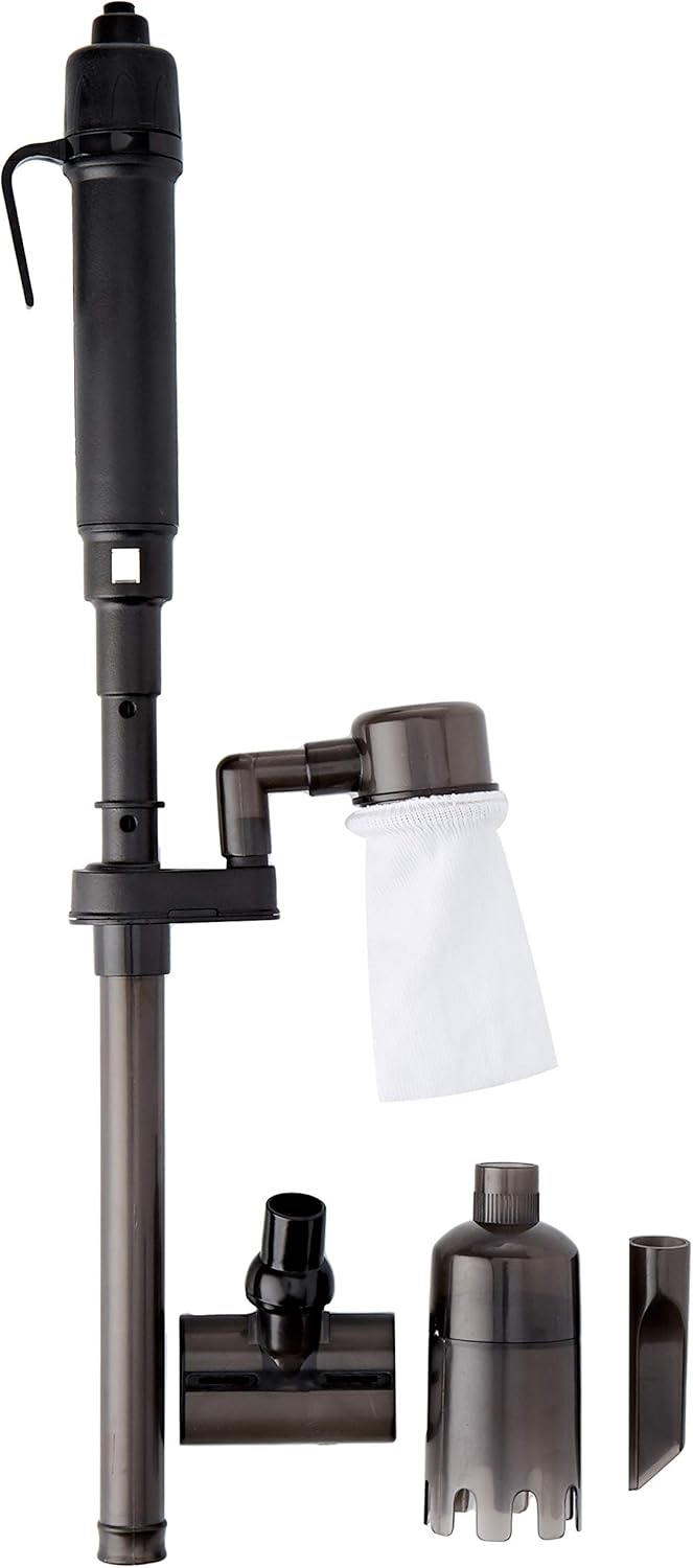 should i buy a guinea pig