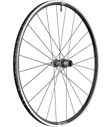Amazon.com : DT Swiss Gr1600 Spline Front Wheel, Black, 28 Inch