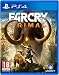 Far Cry Primal (PS4) primary