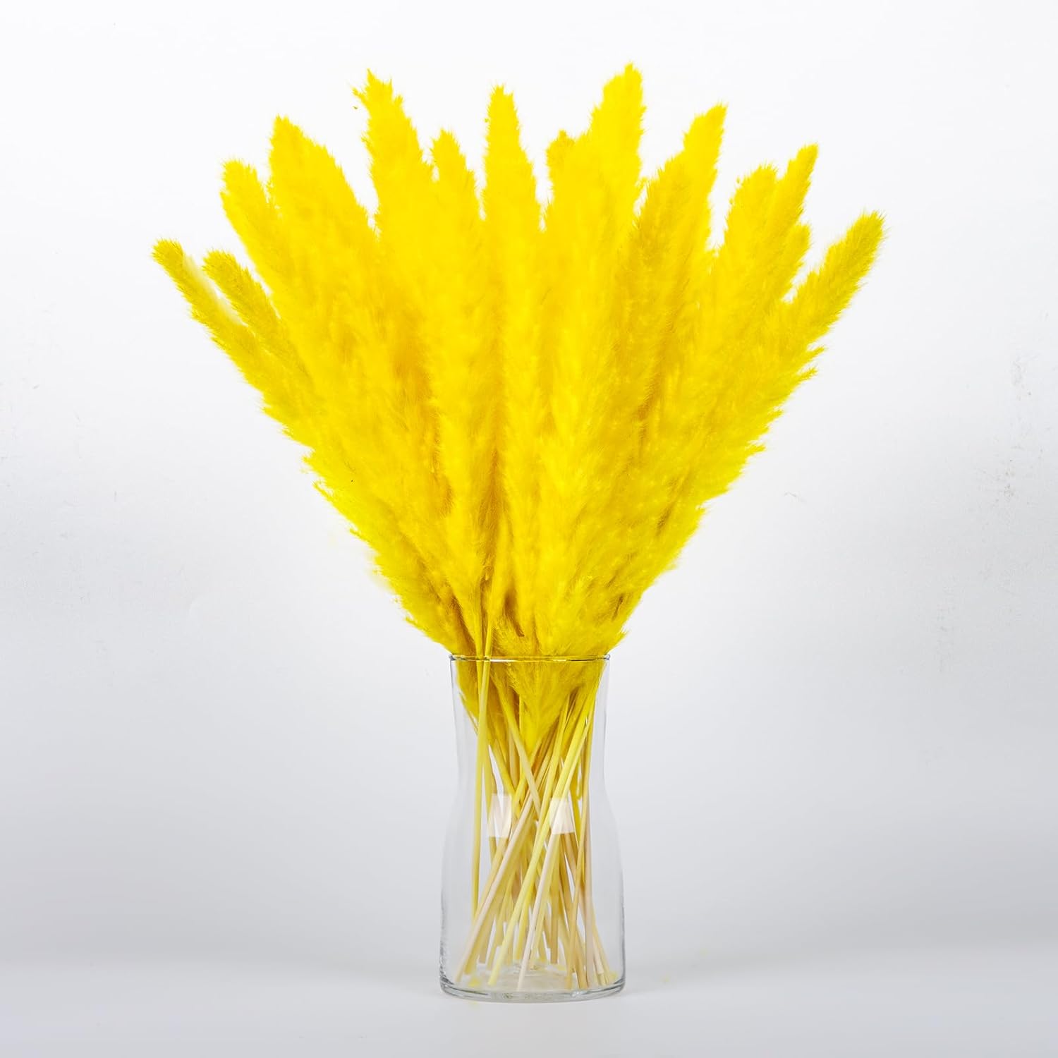 Dried & Preserved Flora - Gold Yellow Pampas Grass Bouquet 30PCS XMFAYUAN,Reed Grass,Dried Flowers,Dried Plant for Home Decor and Gifting