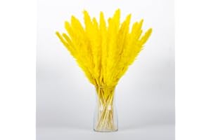 Gold Yellow Pampas Grass Bouquet 30PCS XMFAYUAN,Reed Grass,Dried Flowers,Colorful Pampas Grass Dried Plant for Home Decor and Gifting