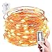 String Lights, Sanniu Battery String Lights Waterproof Design 16ft 50 LED,String Lights Battery with Remote Control 8 Modes Warm White